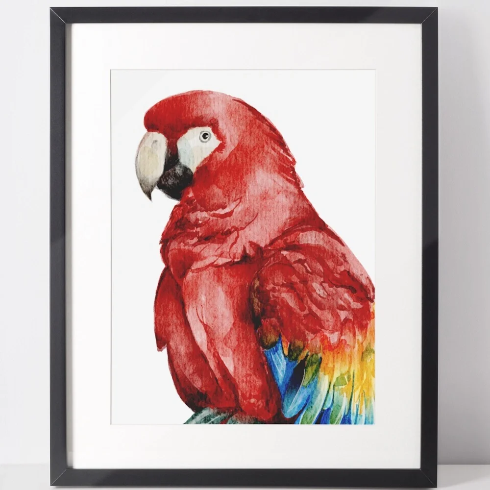 Red Macaw Parrot Bird Watercolor Wall Art Print Poster Unframed - Picture 2 of 8